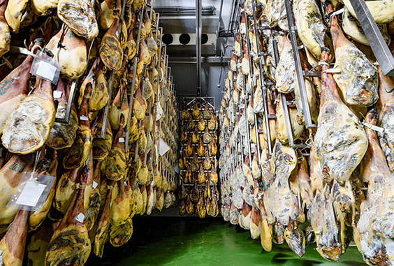 Refrigeradores da Unidade Industrial